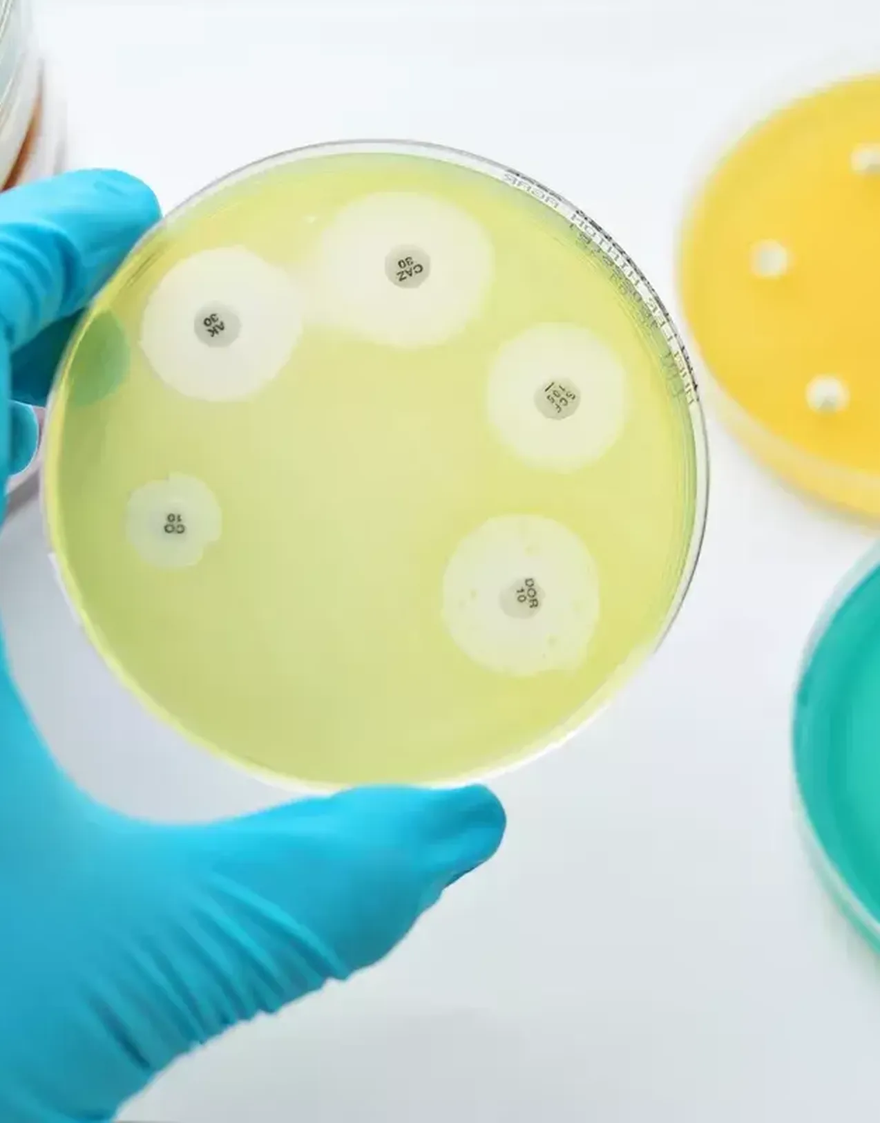 MRSA