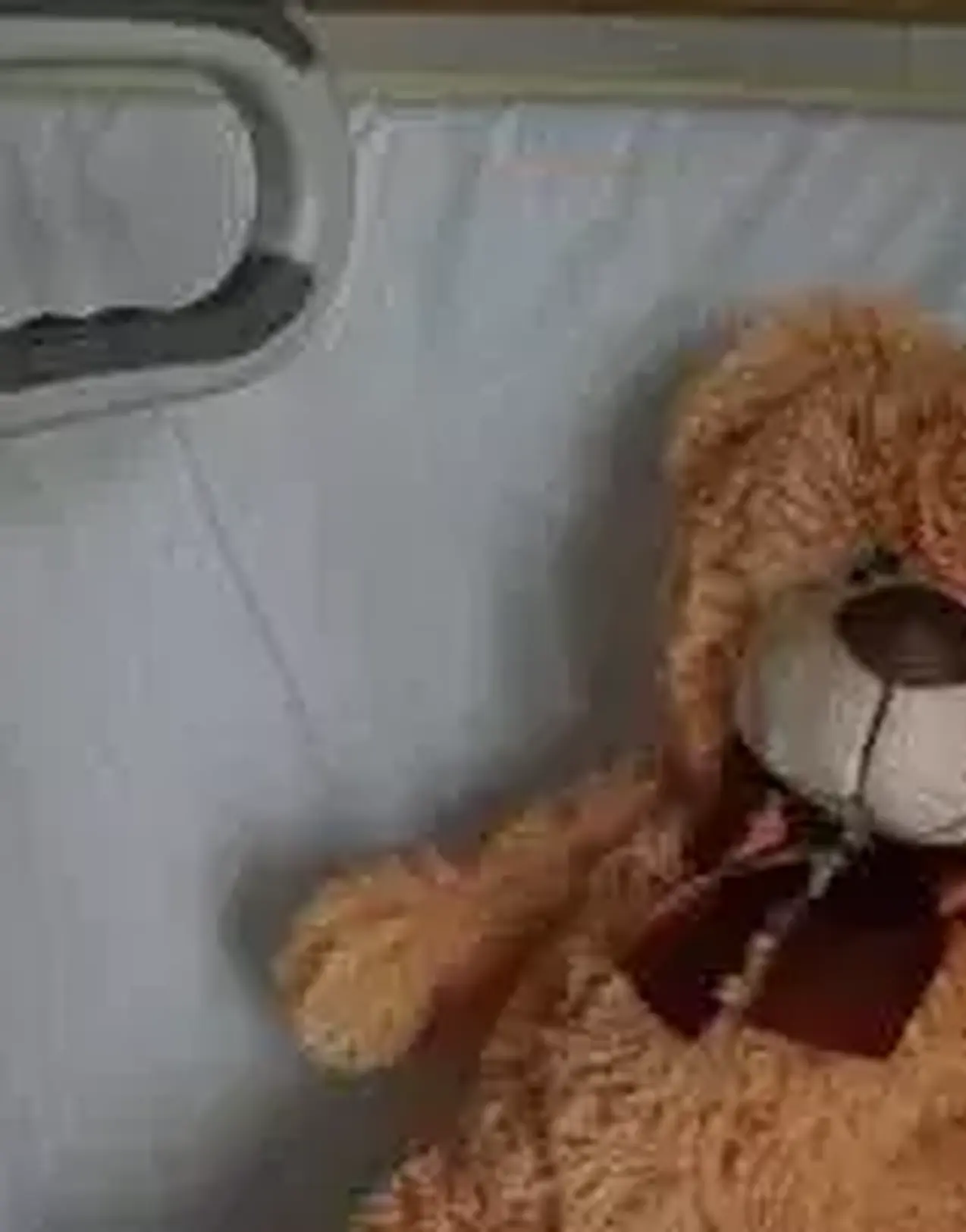 Medical repatriation for children