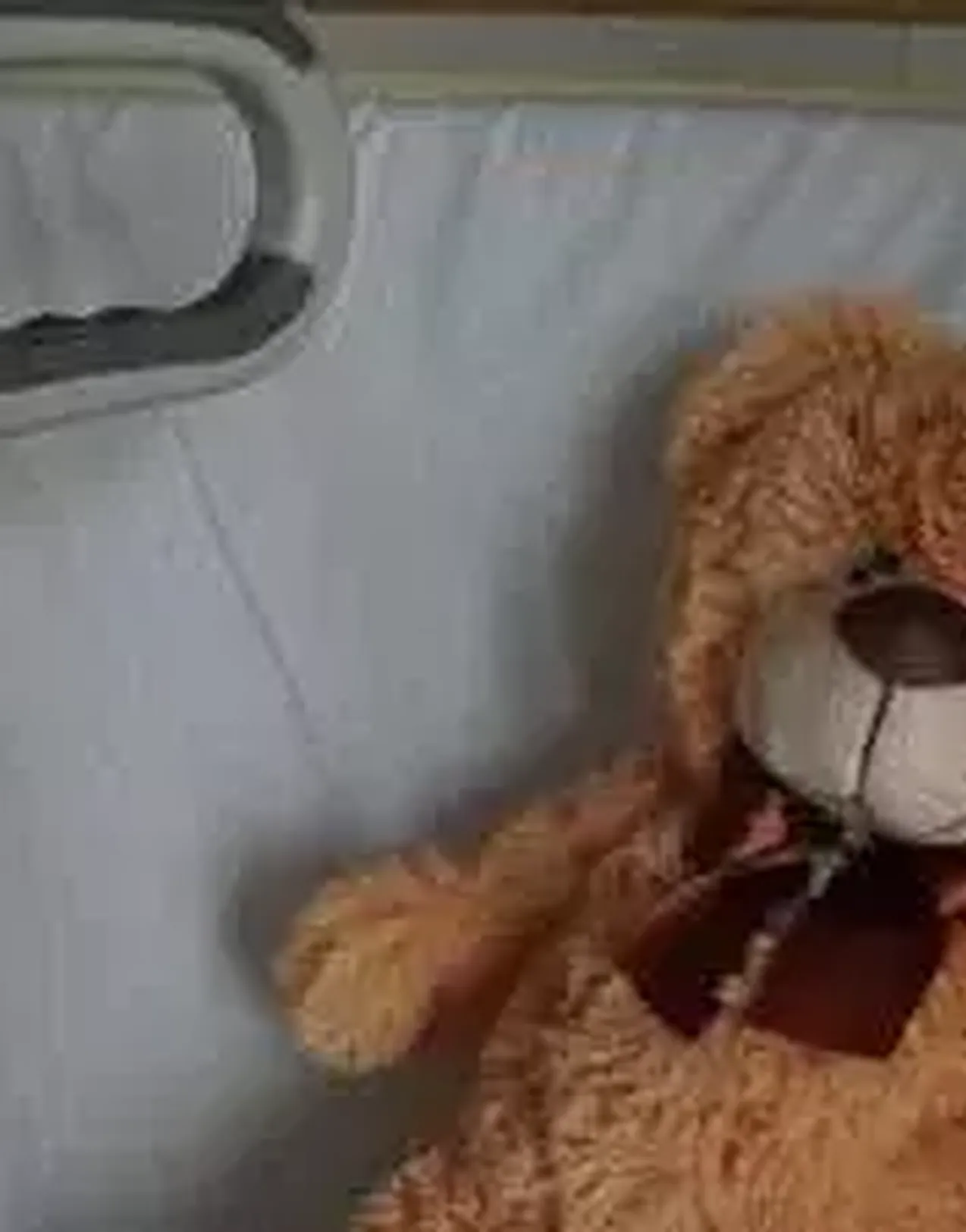 Private International Air Ambulance for Children When Your Insurer Says No